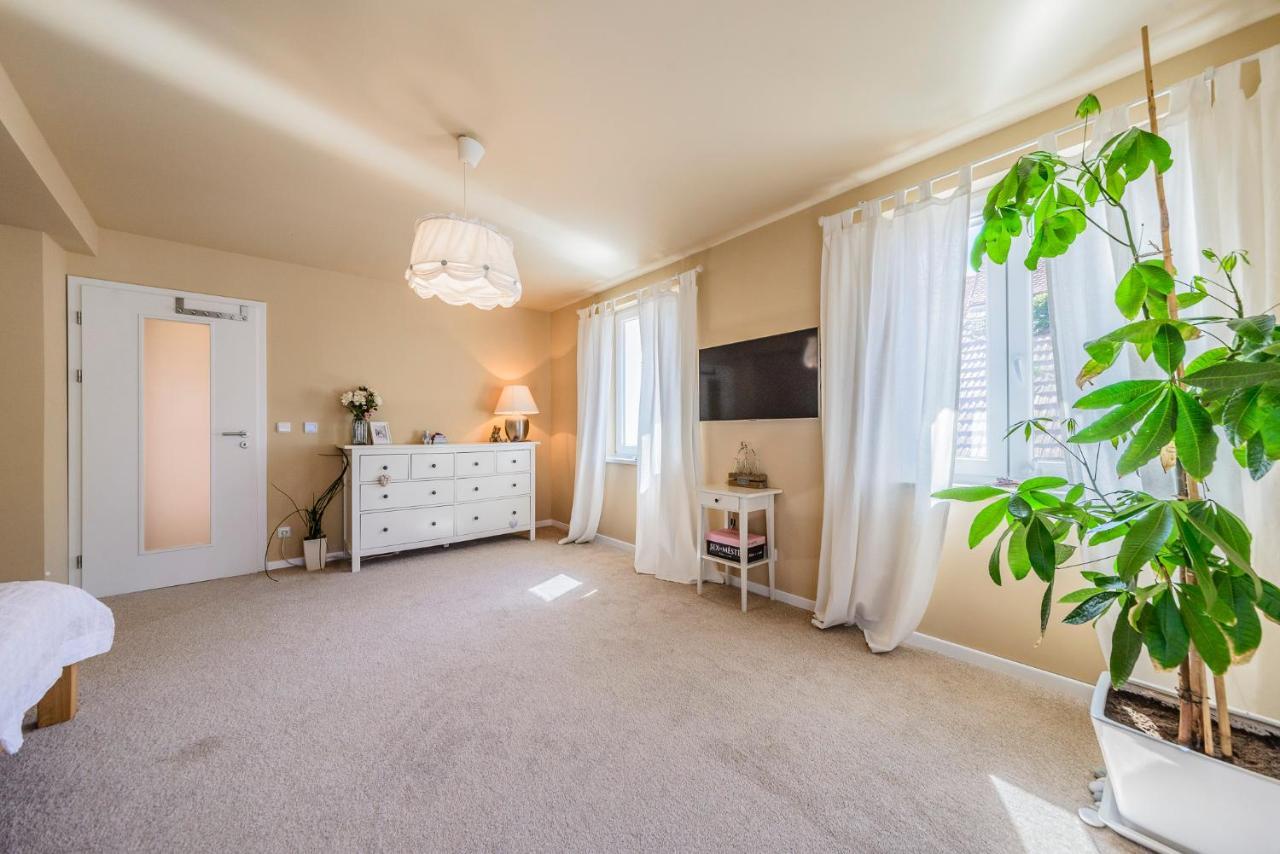 Mikulov Apartmany Magistr Extérieur photo